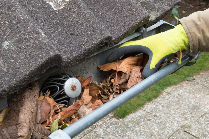 Year-Round Gutter Care