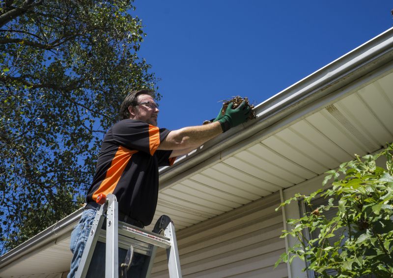 Local Gutter Service Companies